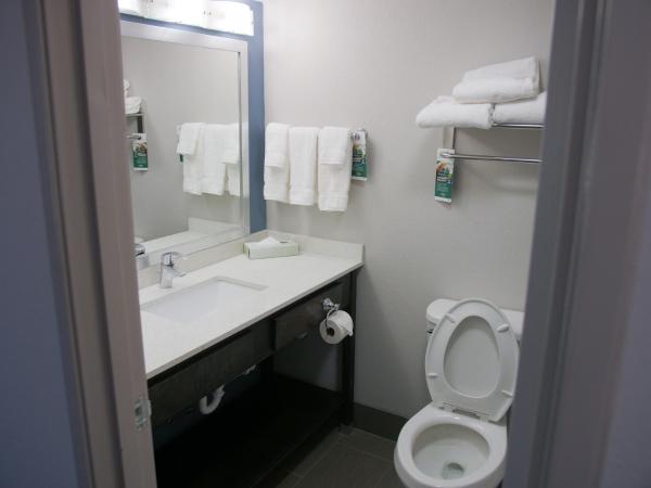 Wingate by Wyndham Louisville Airport Expo Center : photo 7 de la chambre queen room - non-smoking - highway view