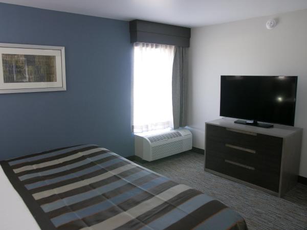 Wingate by Wyndham Louisville Airport Expo Center : photo 3 de la chambre chambre lit king-size - accessible aux personnes à mobilité réduite - non-fumeurs 