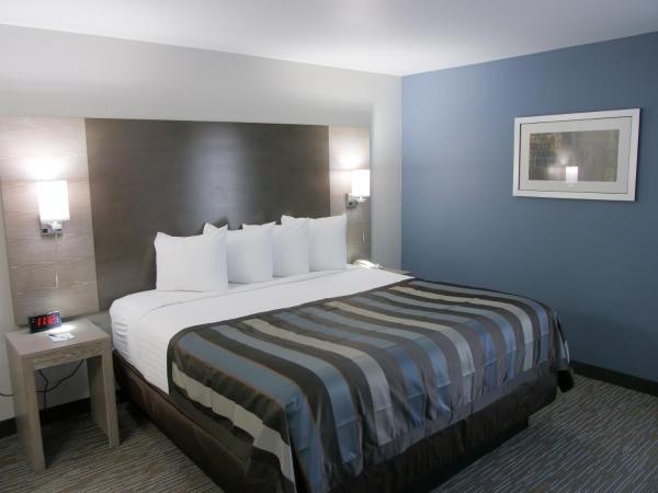 Wingate by Wyndham Louisville Airport Expo Center : photo 4 de la chambre chambre lit king-size - accessible aux personnes à mobilité réduite - non-fumeurs 