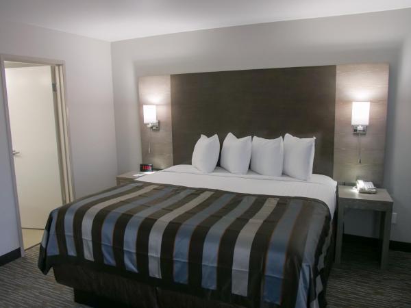 Wingate by Wyndham Louisville Airport Expo Center : photo 5 de la chambre chambre lit king-size - accessible aux personnes à mobilité réduite - non-fumeurs 