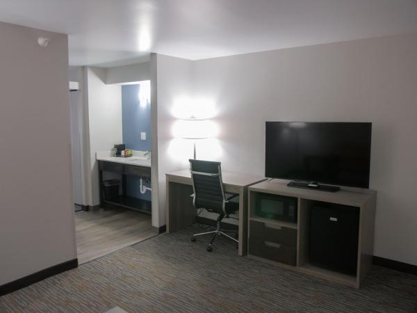 Wingate by Wyndham Louisville Airport Expo Center : photo 6 de la chambre suite 1 chambre lit king-size - non-fumeurs