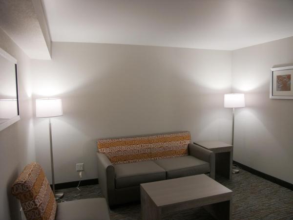 Wingate by Wyndham Louisville Airport Expo Center : photo 7 de la chambre suite 1 chambre lit king-size - non-fumeurs
