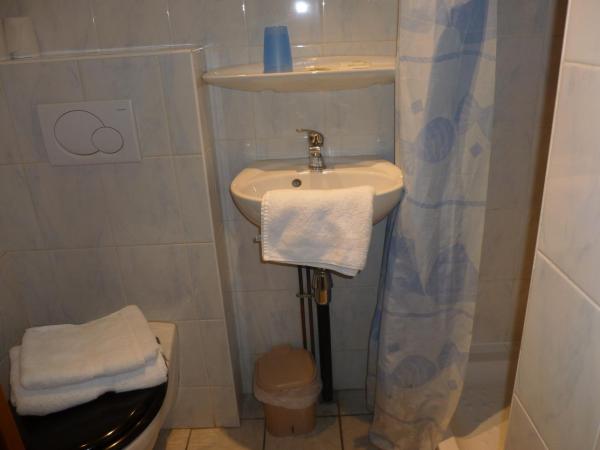 Hôtel l'Edelweiss : photo 3 de la chambre chambre lits jumeaux