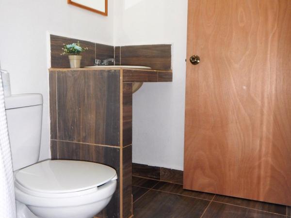 Blue Coconut Cancun Hotel : photo 1 de la chambre chambre lits jumeaux avec salle de bains privative