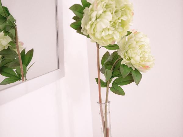 Maçã de Eva : photo 5 de la chambre chambre double