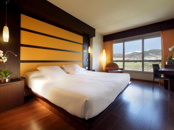 Hotel Abades Nevada Palace : photo 1 de la chambre chambre lits jumeaux