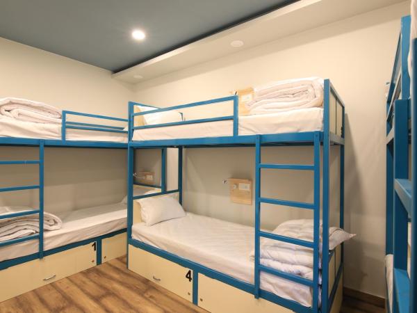 Blue Beds Hostel : photo 2 de la chambre bed in 6 bed a/c female dorm