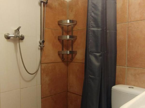 Pension an der Elsterbrücke : photo 10 de la chambre appartement avec terrasse