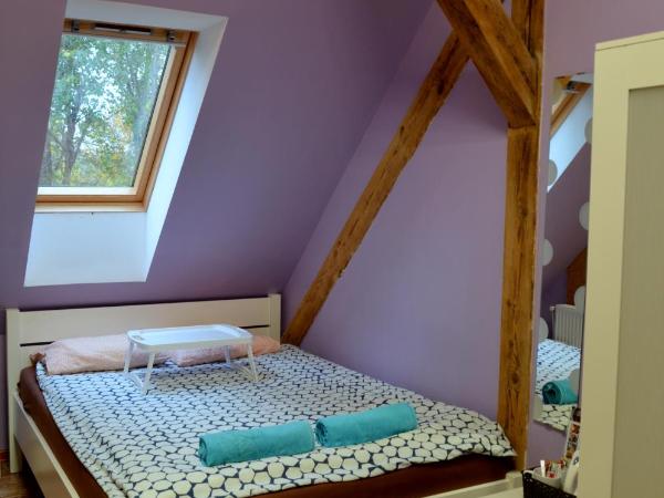 Fitness Hostel - restauracja, darmowy parking i siłownia : photo 1 de la chambre chambre double standard avec accès à la salle de sport et salle de bains commune