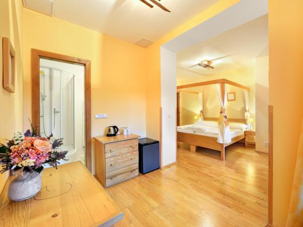 Hotel Garni Myší Díra : photo 10 de la chambre chambre deluxe double ou lits jumeaux