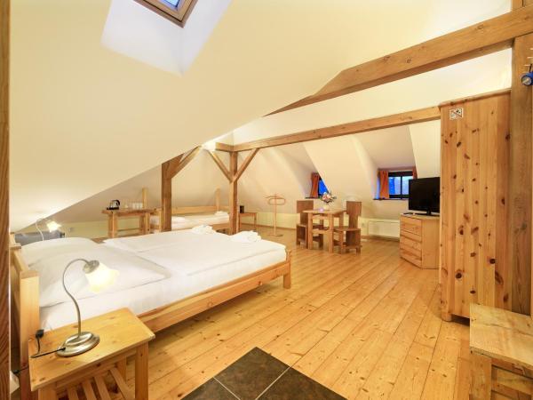 Hotel Garni Myší Díra : photo 2 de la chambre chambre triple deluxe