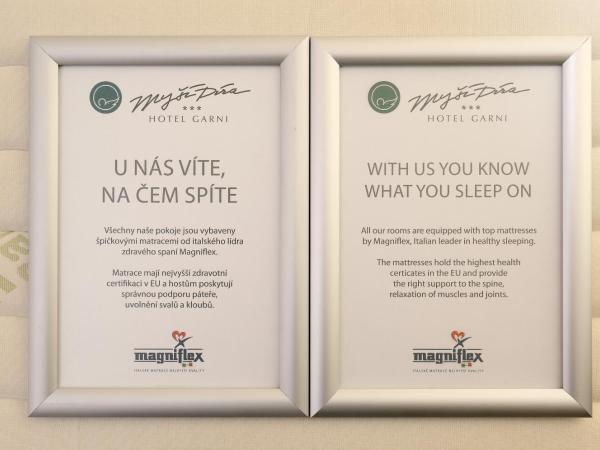 Hotel Garni Myší Díra : photo 6 de la chambre chambre double ou lits jumeaux mansardée  