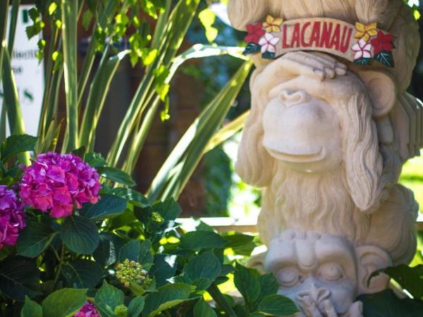 VILLA ZENITH Hostel-LA SURF HOUSE : photo 9 de la chambre chambre double