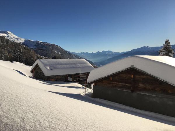 Le Mayen de Colombire : photo 8 de la chambre chalet