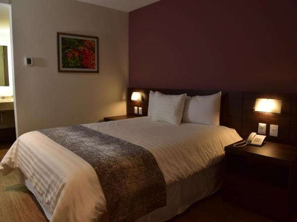 Lithio Hotel : photo 5 de la chambre chambre double avec 2 lits doubles