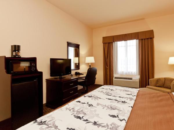 Sleep Inn & Suites Hwy 290-NW Freeway : photo 3 de la chambre chambre lit king-size standard - non-fumeurs