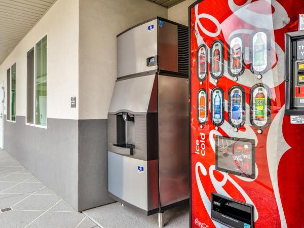 Palace Inn Blue Tomball Parkway : photo 1 de la chambre suite lit king-size