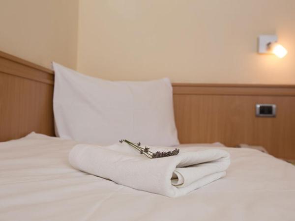 Hotel Tomislavov Dom : photo 3 de la chambre chambre simple standard