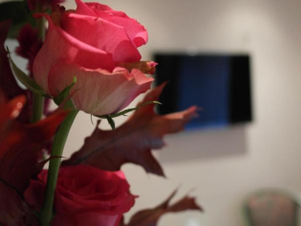 Hotel Attaché an der Messe : photo 3 de la chambre chambre simple