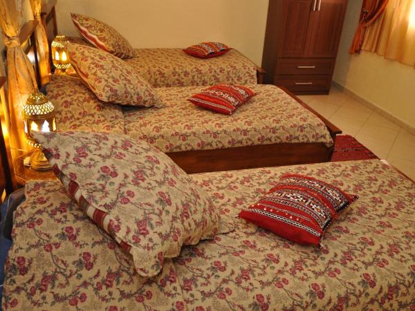Dar Aliane : photo 4 de la chambre chambre lits jumeaux méditerannée