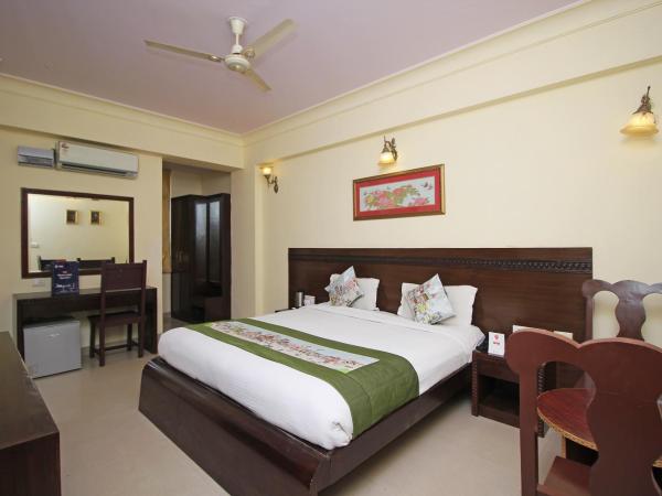 Hotel Roshan Haveli : photo 2 de la chambre chambre deluxe