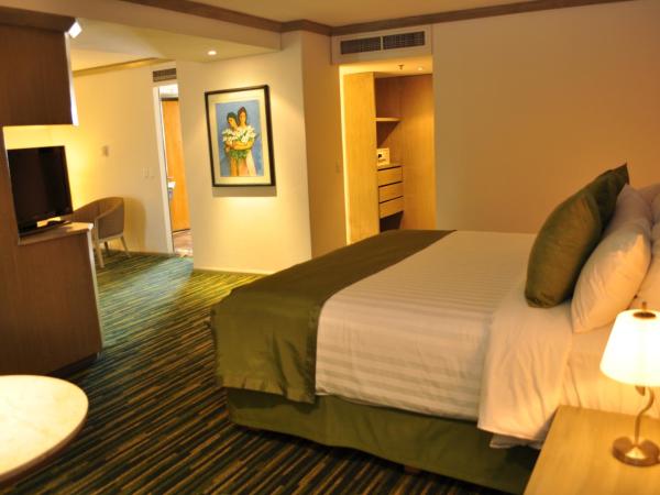 Radisson Paraiso Hotel Mexico City : photo 4 de la chambre suite studio lit king-size