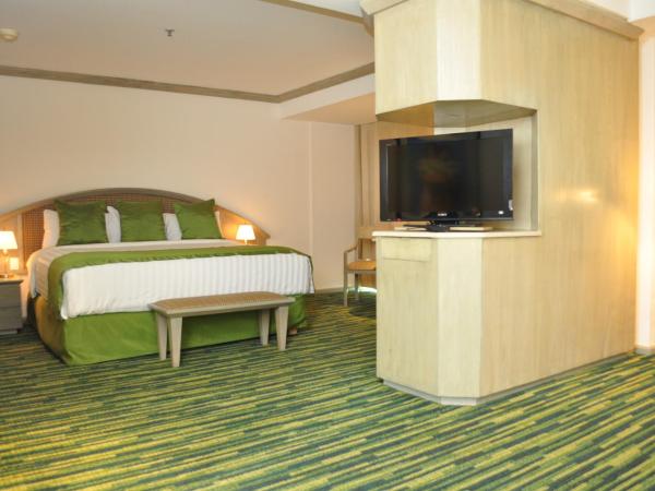 Radisson Paraiso Hotel Mexico City : photo 5 de la chambre suite studio lit king-size