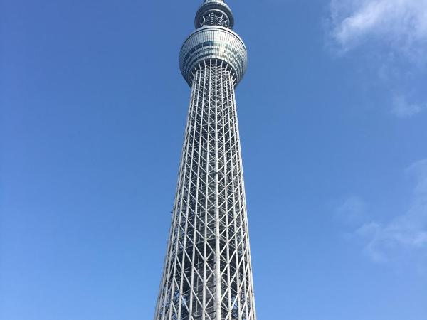 Tokyo Guest House 2020 : photo 2 de la chambre chambre familiale