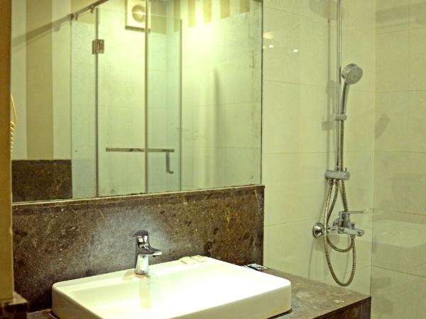 Hotel Ajanta : photo 6 de la chambre chambre deluxe double ou lits jumeaux