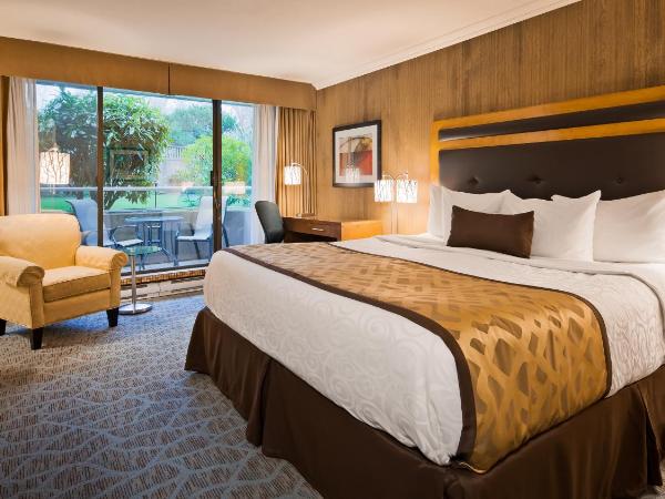 Best Western PLUS Inner Harbour Hotel : photo 4 de la chambre chambre lit king-size avec terrasse au rez-de-chaussée et vue sur jardin - non-fumeurs