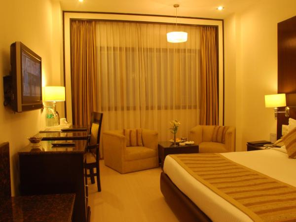 Hotel Shanti Palace Mahipalpur : photo 5 de la chambre standard  double room with 20% discount on food and soft beverage