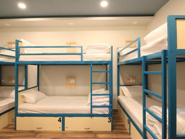 Blue Beds Hostel : photo 1 de la chambre bed in 6 bed a/c female dorm