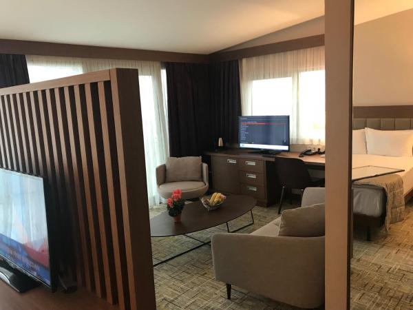 Land Park Hotel : photo 9 de la chambre suite avec terrasse 