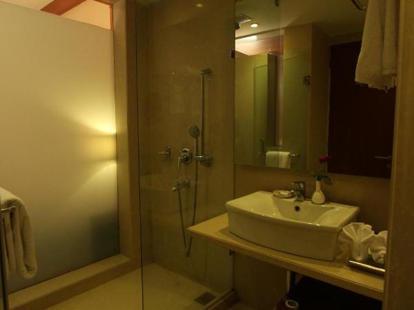 The Cambay Grand : photo 3 de la chambre chambre double deluxe