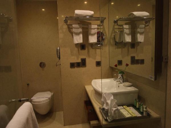 The Cambay Grand : photo 4 de la chambre chambre club