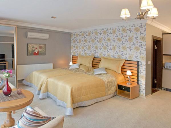 The Bosphorus House : photo 1 de la chambre studio