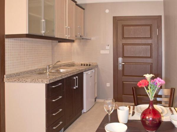 The Bosphorus House : photo 2 de la chambre studio