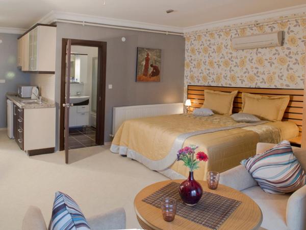 The Bosphorus House : photo 5 de la chambre studio