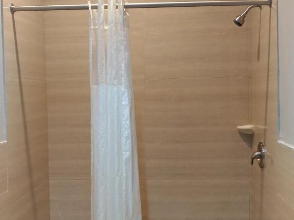 Haven Inn & Suites Downtown Houston. : photo 4 de la chambre chambre lit king-size - accessible aux personnes à mobilité réduite