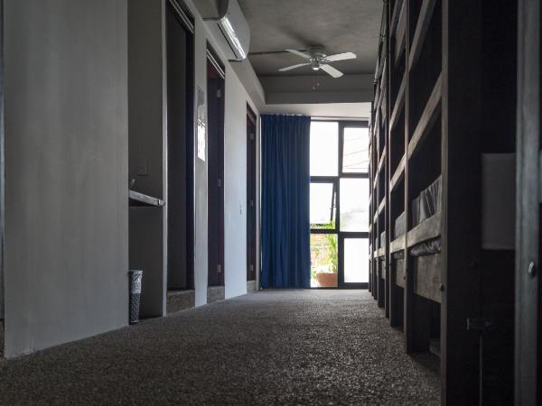 Los Muertos Hostal : photo 1 de la chambre lit simple dans dortoir mixte - cantinflas