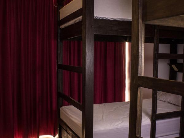 Los Muertos Hostal : photo 3 de la chambre lit simple dans dortoir de 6 lits - zapata