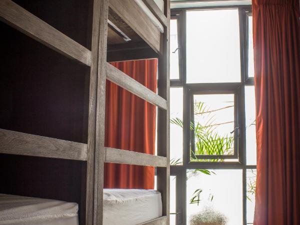 Los Muertos Hostal : photo 5 de la chambre lit simple dans dortoir de 8 lits - frida