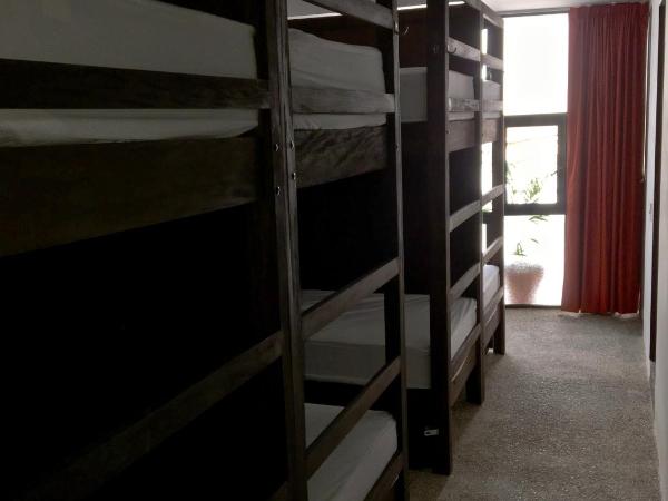 Los Muertos Hostal : photo 3 de la chambre lit simple dans dortoir de 8 lits - frida