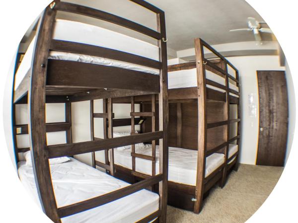 Los Muertos Hostal : photo 6 de la chambre lit simple dans dortoir de 6 lits - zapata