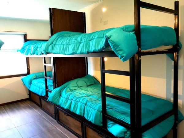 Folk Hostel : photo 8 de la chambre lit dans dortoir mixte de 8 lits