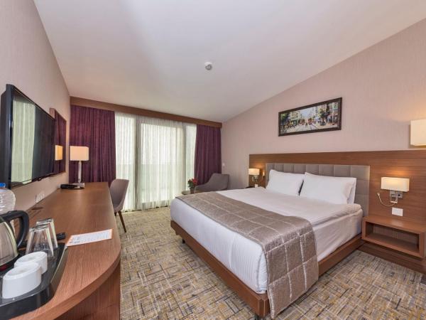 Land Park Hotel : photo 3 de la chambre chambre simple standard