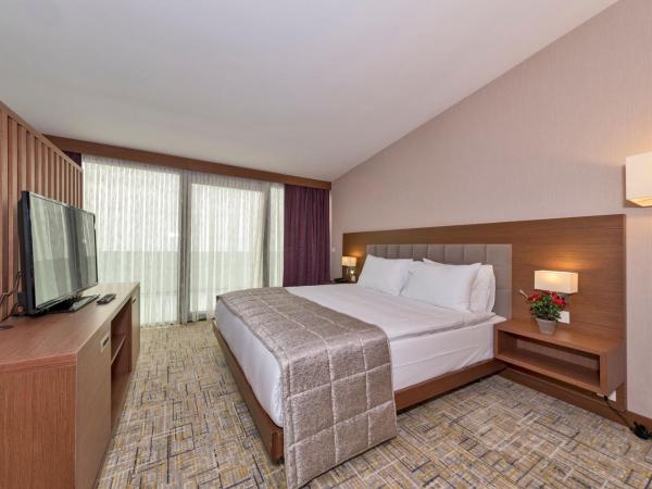 Land Park Hotel : photo 5 de la chambre suite avec terrasse 