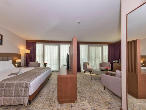 Land Park Hotel : photo 3 de la chambre suite avec vue sur lac 
