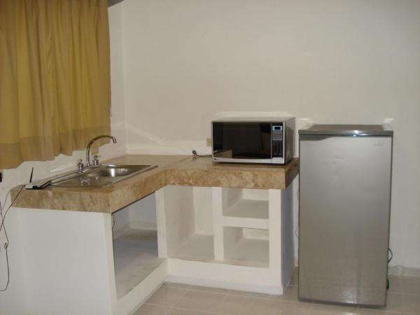 EMS Hoteles Boca del Río : photo 4 de la chambre studio