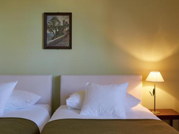 hotel brasserie au violon : photo 1 de la chambre chambre lits jumeaux standard
